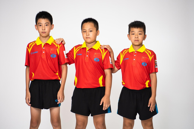 王中王白小姐四肖選一，揭秘背后的秘密與策略，揭秘王中王白小姐四肖選一背后的秘密與策略之道