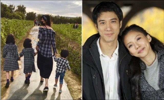 李靚蕾的家世背景深度解析，李靚蕾家世背景深度探究