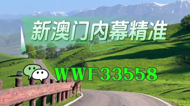澳門精準(zhǔn)免費大全，探索未來的預(yù)測與機遇（2025年展望），澳門未來展望，精準(zhǔn)預(yù)測與機遇探索（2025年）