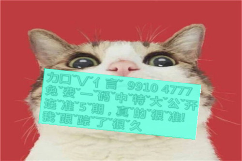 一肖啥意思，深度解析與SEO優(yōu)化文章，一肖含義深度解析與SEO優(yōu)化策略探討