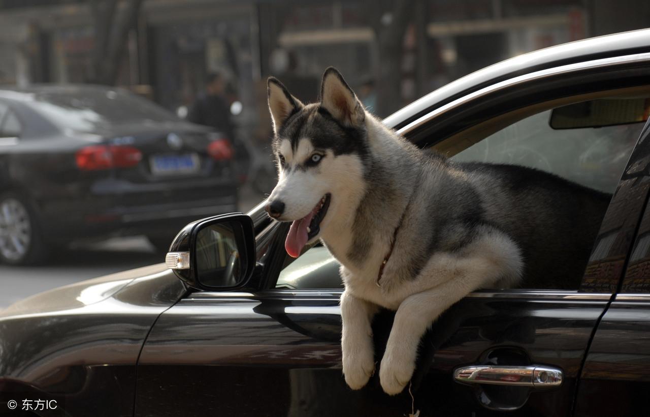 今晚九點(diǎn)三十分特馬開(kāi)彩盛宴，揭秘彩票背后的秘密！，揭秘彩票背后的秘密，今晚九點(diǎn)三十分特馬開(kāi)彩盛宴！
