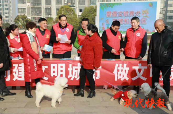 急先鋒澳門六肖，深度解析與探索，澳門六肖急先鋒，深度解析與探索