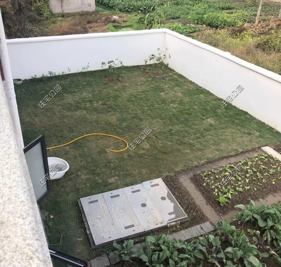 一肖中2碼，揭秘彩票背后的秘密與策略，揭秘彩票背后的策略與秘密，一肖中兩碼解析