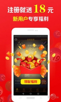 關(guān)于王中王中特免費(fèi)一肖的探討，王中王中特免費(fèi)一肖，深度探討與解析