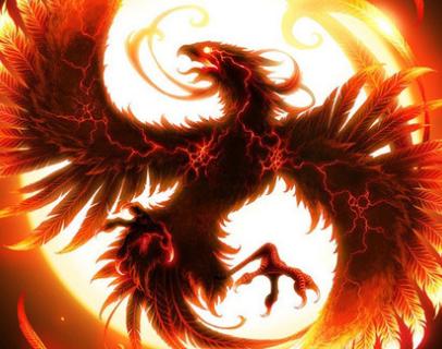 王中王精準(zhǔn)一肖中鳳凰，揭秘預(yù)測(cè)之謎，揭秘王中王精準(zhǔn)預(yù)測(cè)一肖中鳳凰的奧秘