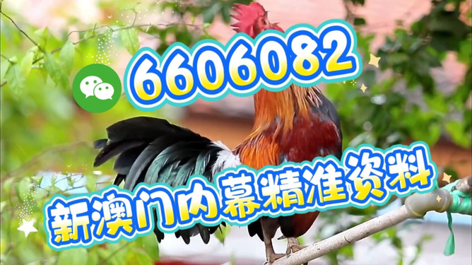 澳門特馬今天開獎結(jié)果，揭秘彩票背后的秘密，澳門特馬今天開獎結(jié)果揭秘，彩票背后的秘密大揭曉