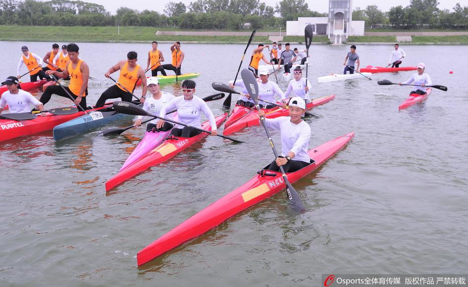 王中王一碼一肖免費(fèi)公開，揭秘精準(zhǔn)預(yù)測的秘密，揭秘王中王一碼一肖精準(zhǔn)預(yù)測的秘密，免費(fèi)公開揭秘！