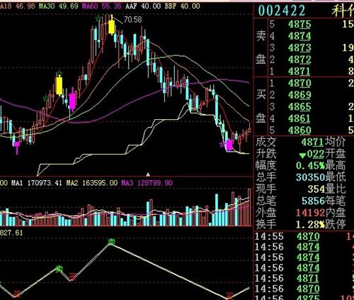 關(guān)于股票投資，深度解析002422股票的投資價值，深度解析，股票投資中的002422股票投資價值探究