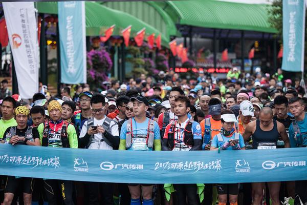 一肖平特王中王，揭秘彩票背后的秘密與策略，揭秘彩票背后的秘密與策略，一肖平特王中王之選