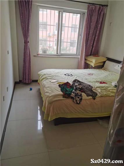 大皇王中王一肖，揭秘背后的秘密與策略，揭秘大皇王中王一肖背后的秘密與策略