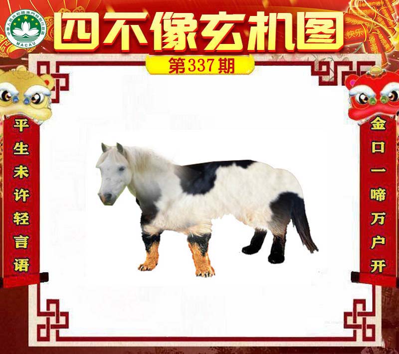 王中王四不象一肖中特，揭秘生肖運(yùn)勢(shì)與神秘預(yù)測(cè)，揭秘生肖運(yùn)勢(shì)與神秘預(yù)測(cè)，王中王四不象一肖中特揭曉秘密