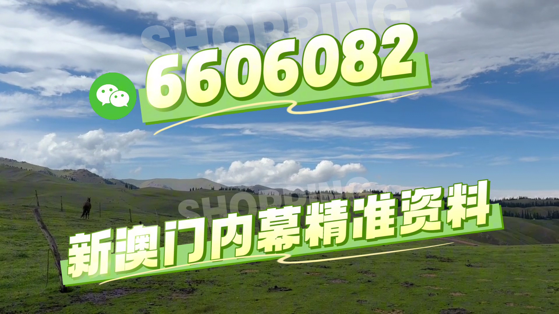 澳門今晚必開一肖一特，深度解析與預(yù)測(cè)，澳門今晚生肖特碼深度解析與預(yù)測(cè)，一肖一特必開趨勢(shì)探討