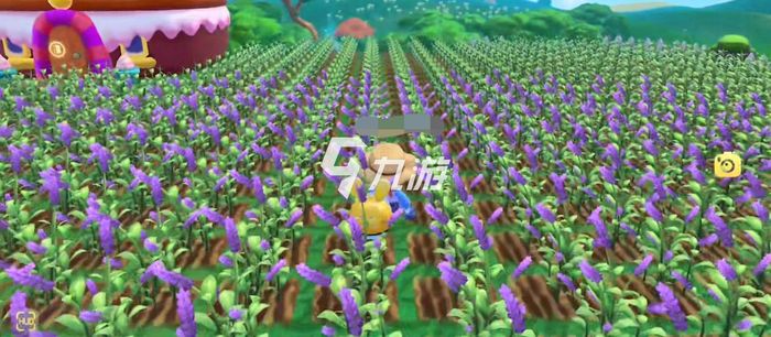 摩爾莊園紫羅蘭種子，種植與優(yōu)化的SEO策略，摩爾莊園紫羅蘭種子種植與SEO策略優(yōu)化指南