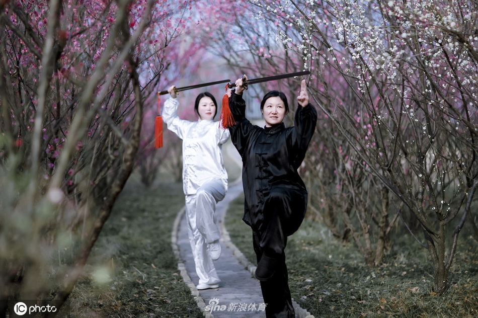 揭秘劉伯溫一期一肖期期中的奧秘與真相，劉伯溫一期一肖期奧秘與真相揭秘