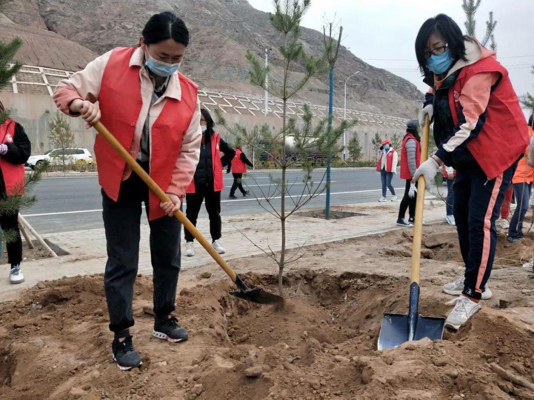 天下彩天天空彩資料免費(fèi)大全管家，探索與解析，天下彩天天空彩資料大全管家，深度探索與解析
