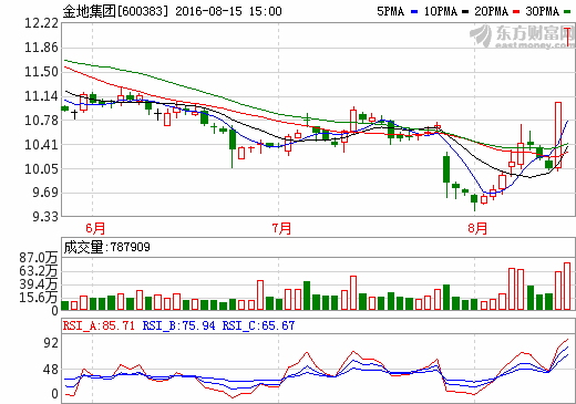 關(guān)于600383的最新消息全面解析，600383最新消息全面解析