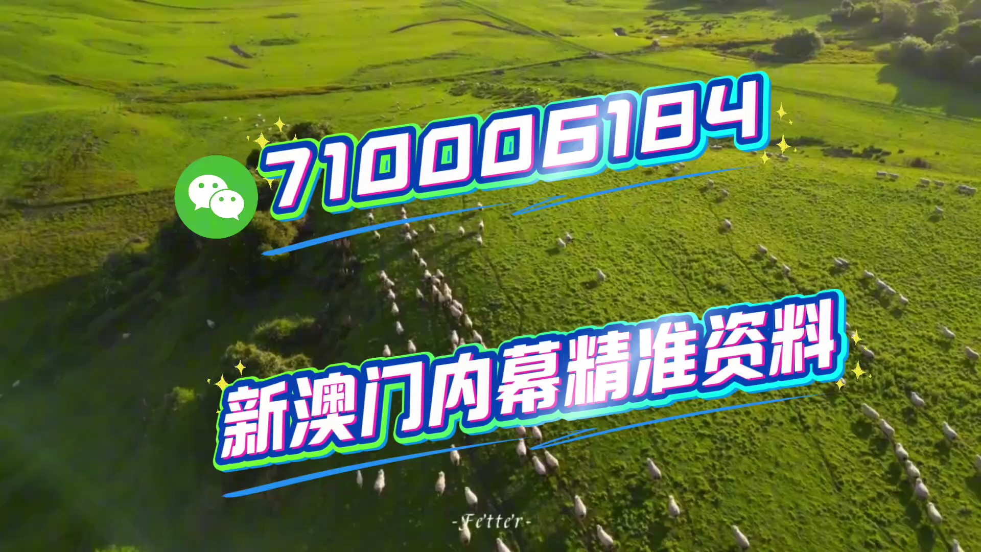 揭秘澳門今晚必開生肖，預(yù)測與策略走向（2025年），澳門生肖預(yù)測揭秘，今晚必開生肖與策略走向（2025年）