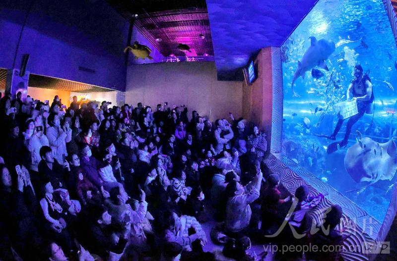 新澳2025今晚開獎(jiǎng)結(jié)果，揭秘彩票背后的秘密與期待，揭秘新澳2025彩票開獎(jiǎng)背后的秘密與期待，今晚開獎(jiǎng)結(jié)果揭曉！