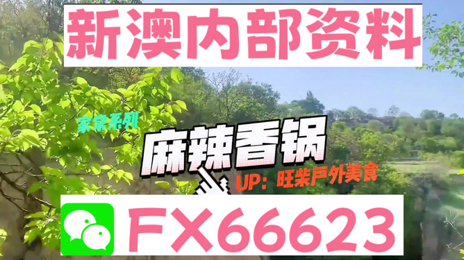 新澳精準(zhǔn)資料免費(fèi)提供，探索與實(shí)踐的指南，新澳精準(zhǔn)資料免費(fèi)分享，探索與實(shí)踐的導(dǎo)航指南