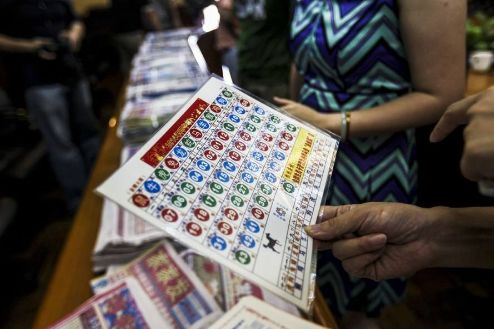 王中王的一肖中特馬——探尋背后的奧秘與魅力，王中王一肖特馬背后的奧秘與魅力探尋