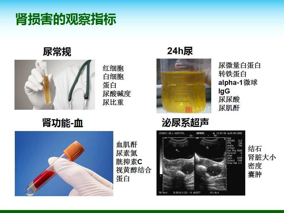 尿酸水平升高與腎臟健康，尿酸460是否意味著腎臟已經(jīng)受損？，尿酸水平升高與腎臟健康關(guān)系解析，尿酸460是否預(yù)示腎臟受損？