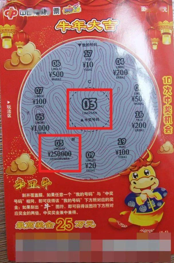 全年王中王資料一肖中特，深度解析與探索，全年王中王資料解析，一肖中特深度探索與解析