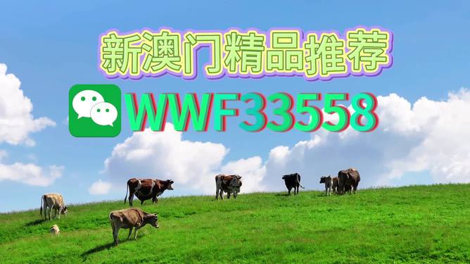 揭秘今晚9點(diǎn)30生肖運(yùn)勢(shì)，你的生肖運(yùn)勢(shì)如何？，揭秘今晚9點(diǎn)30生肖運(yùn)勢(shì)，你的生肖運(yùn)勢(shì)走向如何？