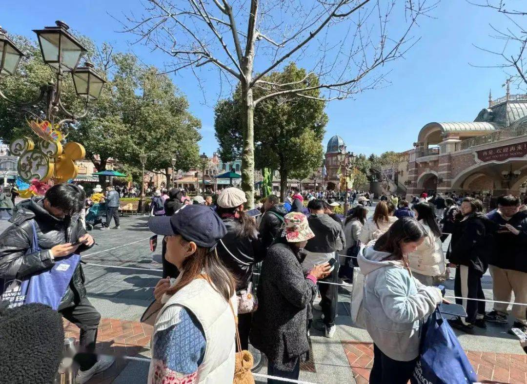 關(guān)于迪士尼上海倒閉的真相探討與深度解析，迪士尼上海倒閉真相深度探討與解析