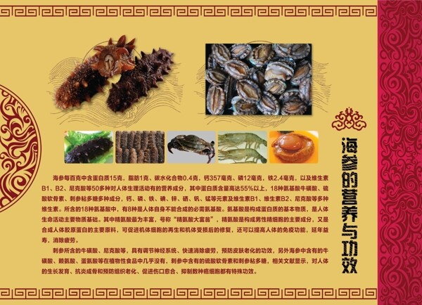 海參的功效，海洋之寶賦予的強(qiáng)大能量，海參的神奇功效，海洋之寶帶來的強(qiáng)大能量