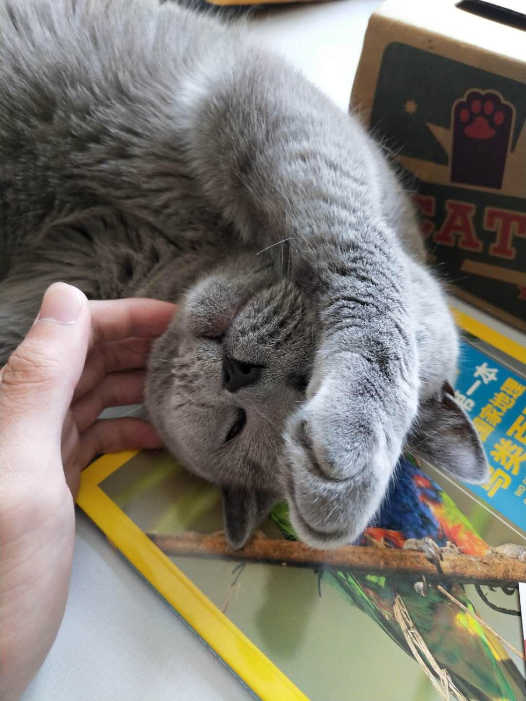 香港 第30頁(yè)