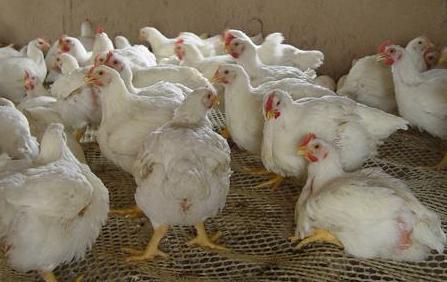 關(guān)于股票代碼002299的深入解析與前景展望，股票代碼002299深度解析與未來前景展望