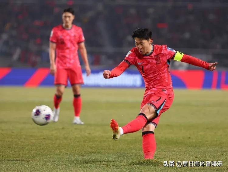 王中王獨(dú)一特肖，揭秘背后的故事與SEO奧秘，揭秘王中王獨(dú)一特肖背后的故事與SEO奧秘之道