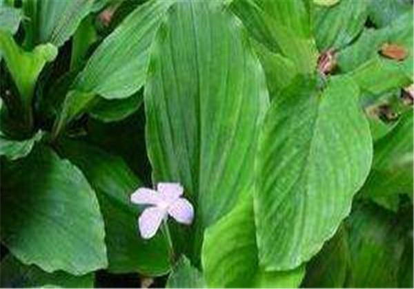 牙痛不止？嘗試這十秒止疼法，輕松緩解不適，十秒止疼法，輕松緩解牙痛不適