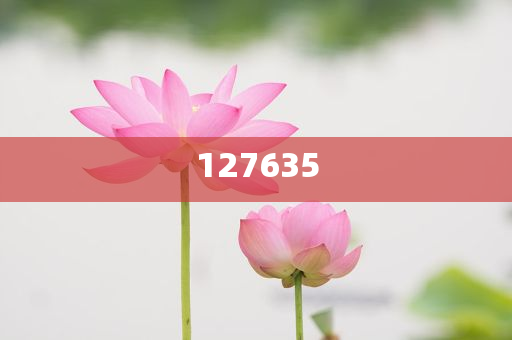 探索全新精準(zhǔn)傳真服務(wù)，7777788888新精準(zhǔn)傳真解析，全新精準(zhǔn)傳真服務(wù)解析，7777788888傳真新體驗