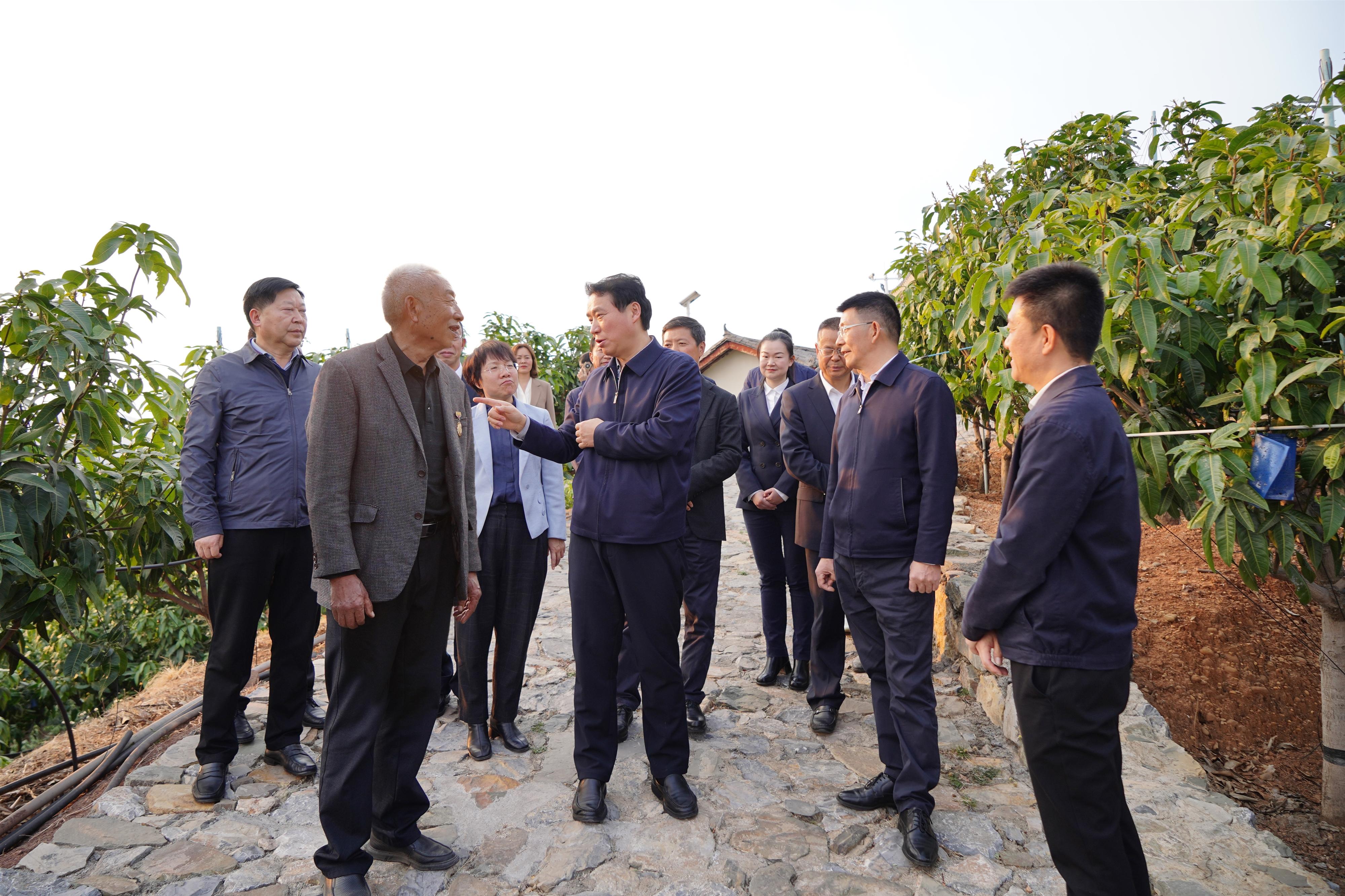 安寧股份，引領(lǐng)行業(yè)發(fā)展的前沿力量，安寧股份，引領(lǐng)行業(yè)發(fā)展的先鋒力量