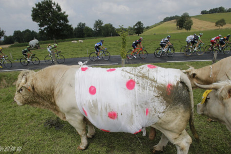 王中王三肖一碼免費(fèi)公開，揭秘背后的秘密與真相，揭秘王中王三肖一碼，真相與背后的秘密免費(fèi)公開揭露