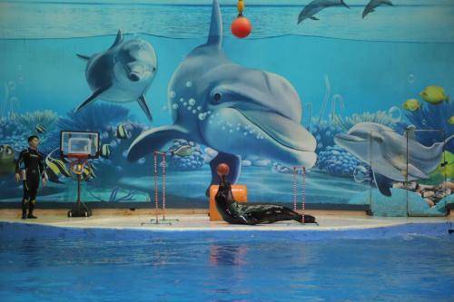 南京海底世界游玩攻略，探索奇妙海洋，了解逛完所需時(shí)間，南京海底世界游玩攻略，探索奇妙海洋之旅及所需時(shí)間揭秘