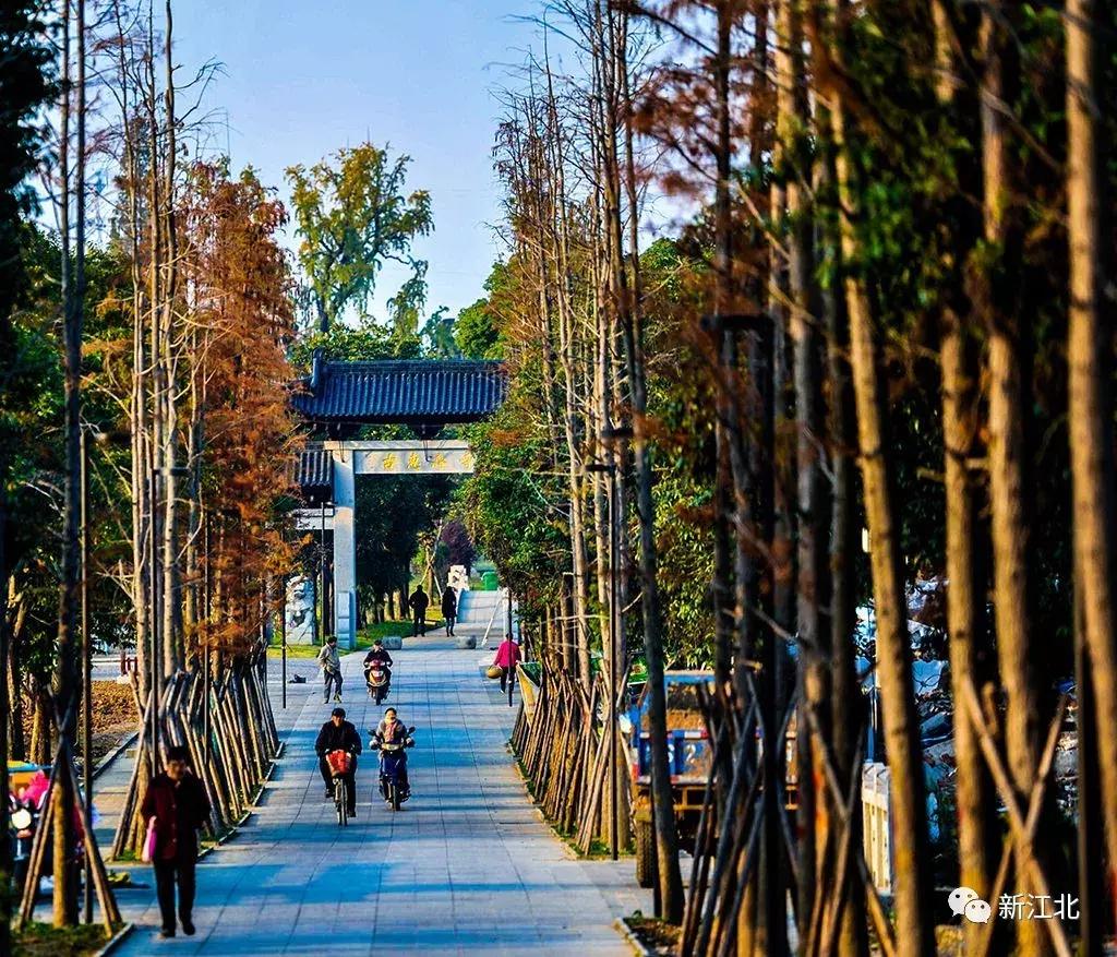 劉伯溫騎馬打一生肖，傳奇故事與生肖運(yùn)勢(shì)解讀，劉伯溫傳奇故事與生肖運(yùn)勢(shì)解讀，騎馬打一生肖的奧秘