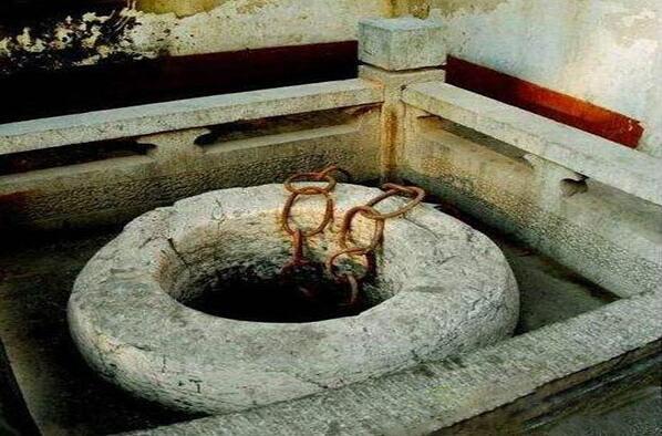 揭秘劉伯溫精選四肖期期準(zhǔn)一的奧秘，劉伯溫精選四肖期期準(zhǔn)一奧秘揭秘