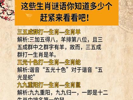 謎語王中王打一生肖——揭秘背后的神秘故事與生肖之謎，揭秘生肖之謎，謎語王中王背后的神秘故事與生肖解密