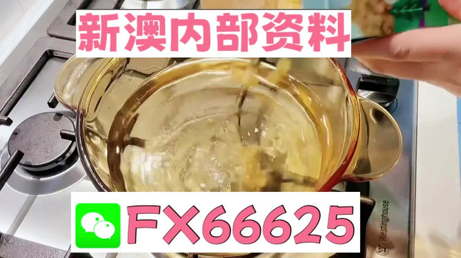 新澳一碼料，深度解析與SEO優(yōu)化策略，新澳一碼料深度解析與SEO優(yōu)化策略指南
