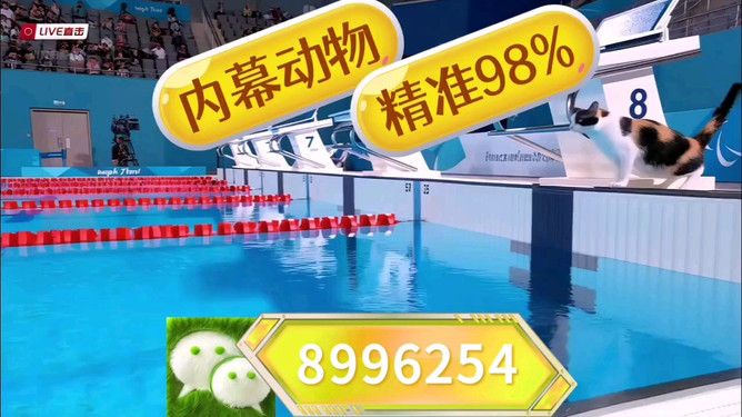 揭秘彩票奧秘，探索澳門王中王彩票期期中的秘密與策略，展望2025年彩票新紀元，揭秘彩票奧秘，澳門王中王彩票策略與秘密，展望2025彩票新紀元探索