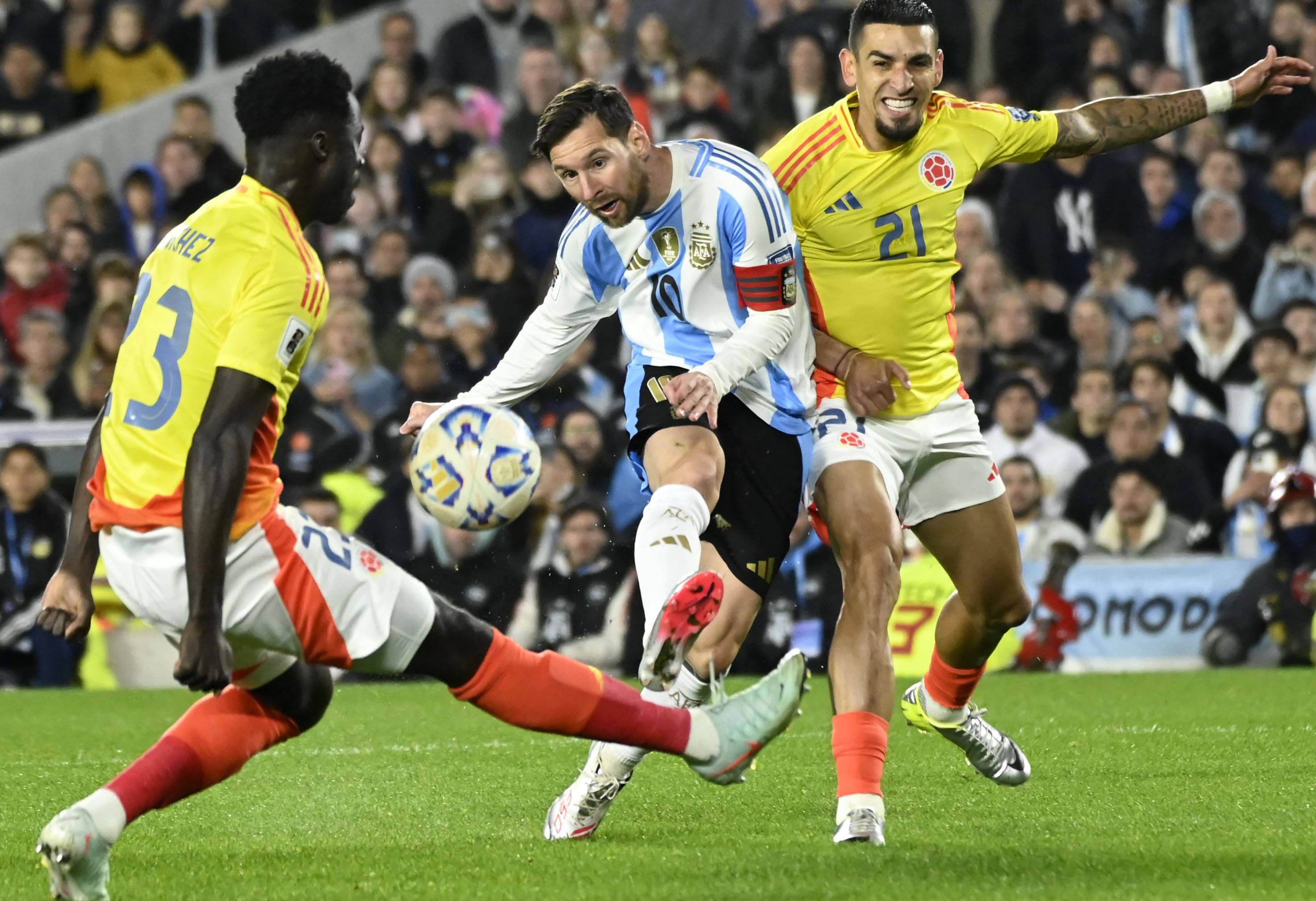 王中王077期一肖特種，深度解析與SEO優(yōu)化策略，王中王077期生肖特種深度解析與SEO優(yōu)化策略探討