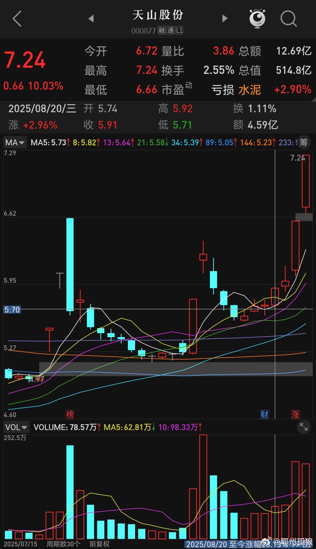 天山股份重組最新消息，企業(yè)轉(zhuǎn)型與未來發(fā)展的展望，天山股份重組最新動態(tài)，企業(yè)轉(zhuǎn)型展望與未來發(fā)展路徑