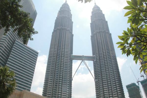 新澳門一肖的奧秘與探索，揭秘生肖運勢的魅力，揭秘新澳門生肖奧秘與運勢魅力探索之旅