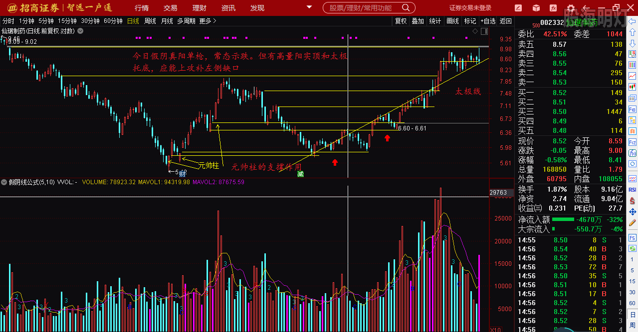 仙琚制藥股票（代碼，002332）深度解析，仙琚制藥股票深度解析（代碼，002332）