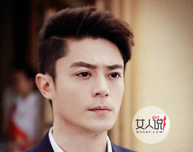 霍建華個人資料及年齡揭秘，霍建華個人資料、年齡大揭秘