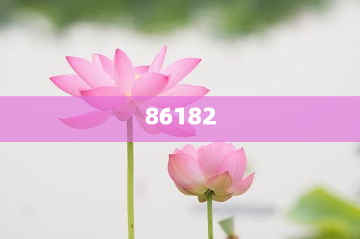 新奧精準(zhǔn)免費提供港澳彩——揭秘彩票行業(yè)的秘密武器，揭秘新奧精準(zhǔn)免費提供港澳彩的神秘面紗，彩票行業(yè)的秘密武器探究