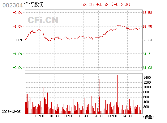 股票002304，深度解析與投資策略，股票002304深度解析與實戰(zhàn)投資策略探討
