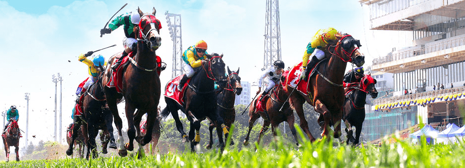 澳門賽馬會資料最準(zhǔn)一碼，深度解析與最新資訊，澳門賽馬會資料解析，最新一碼與深度資訊匯總